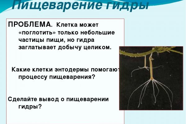 Kraken krn