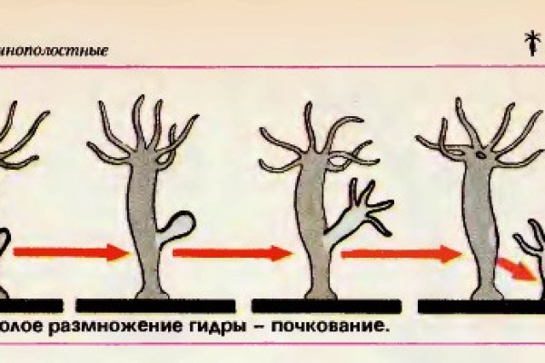 Как восстановить страницу на кракене